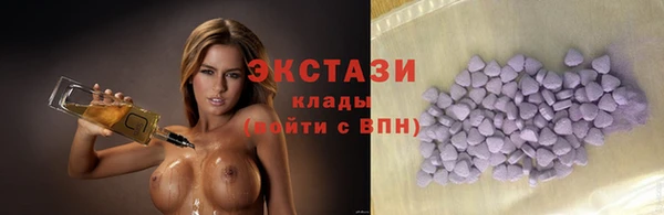 прущие грибы Гвардейск
