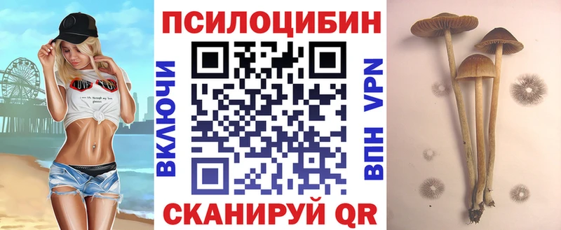 Галлюциногенные грибы Magic Shrooms закладки Аткарск